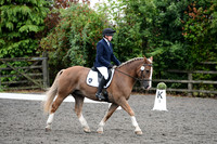 Class 2 - Preliminary 6 2024 - HorseHage-Mollichaff