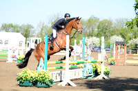 Class 11 - Senior British Novice First Round & 90cms Open