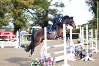 Class 36 - Blue Chip Pony Newcomers & 1m Open