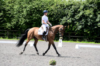Class 4 - Novice 6 2024 - BETTALIFE