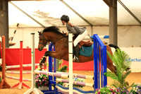 Class 39 - STX-UK Pony British Novice &  80 cm Open