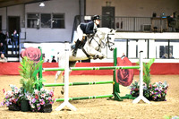 Class 12 - Junior 1.20m Open (inc. the 148cm Restricted Open Championship Qualifier)