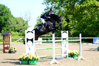 Class 8 - Senior Newcomers Championship Second Round